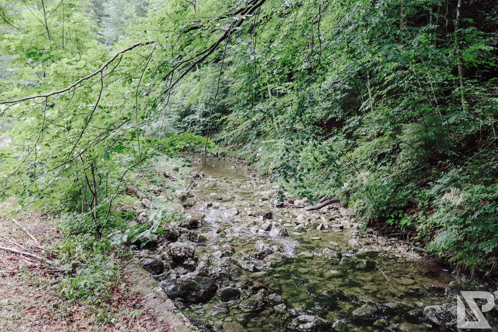 Bergen Chiemgau – Foto 29