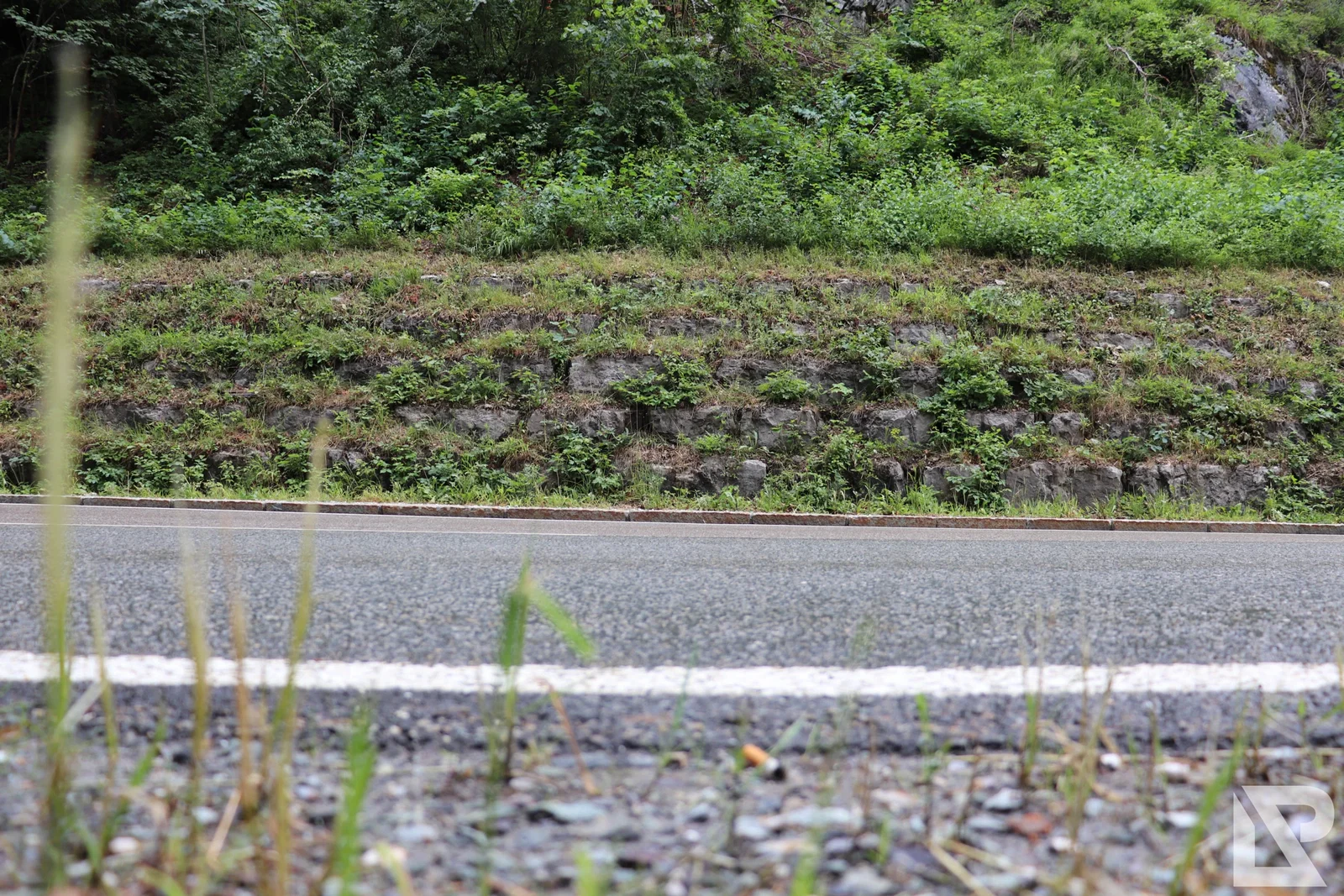 Bergen Chiemgau – Foto 38