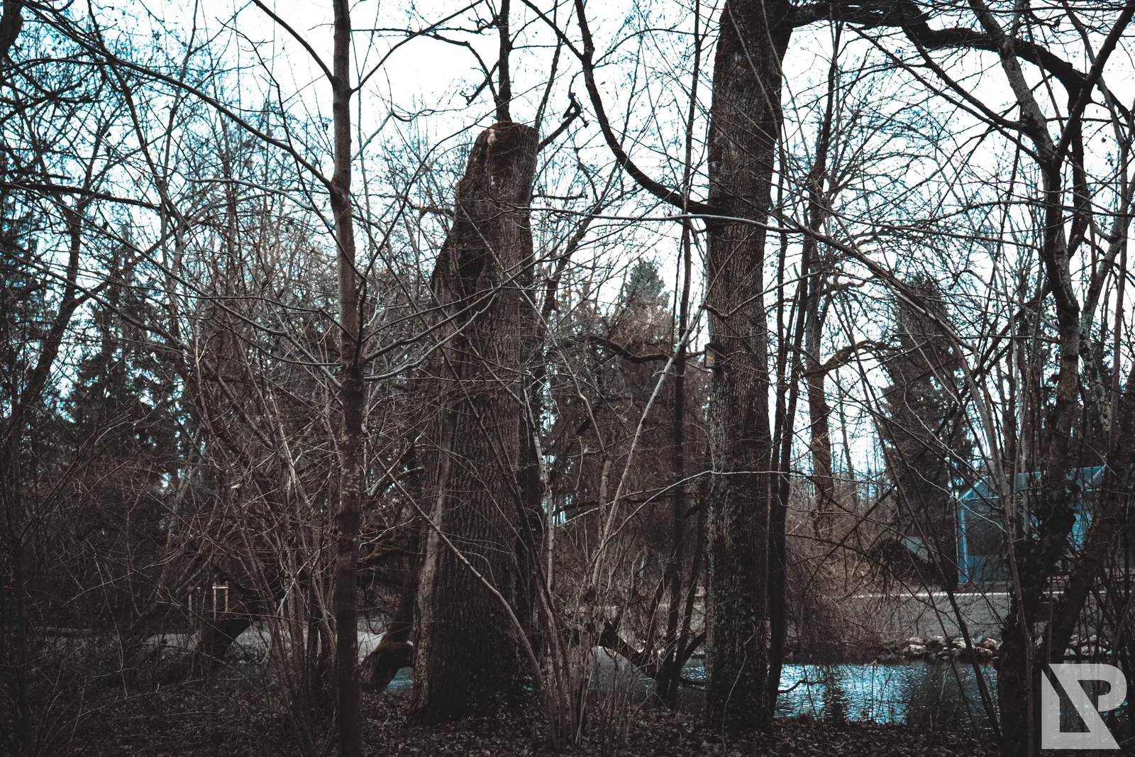 Stadtpark Erding – Foto 35