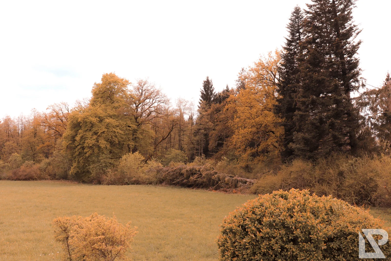 Villa Rustica Mai 2019 – Foto 19