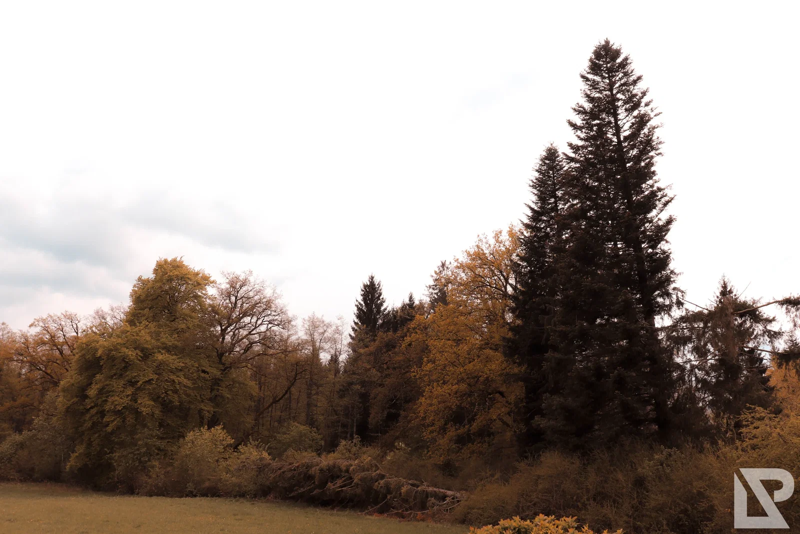 Villa Rustica Mai 2019 – Foto 20