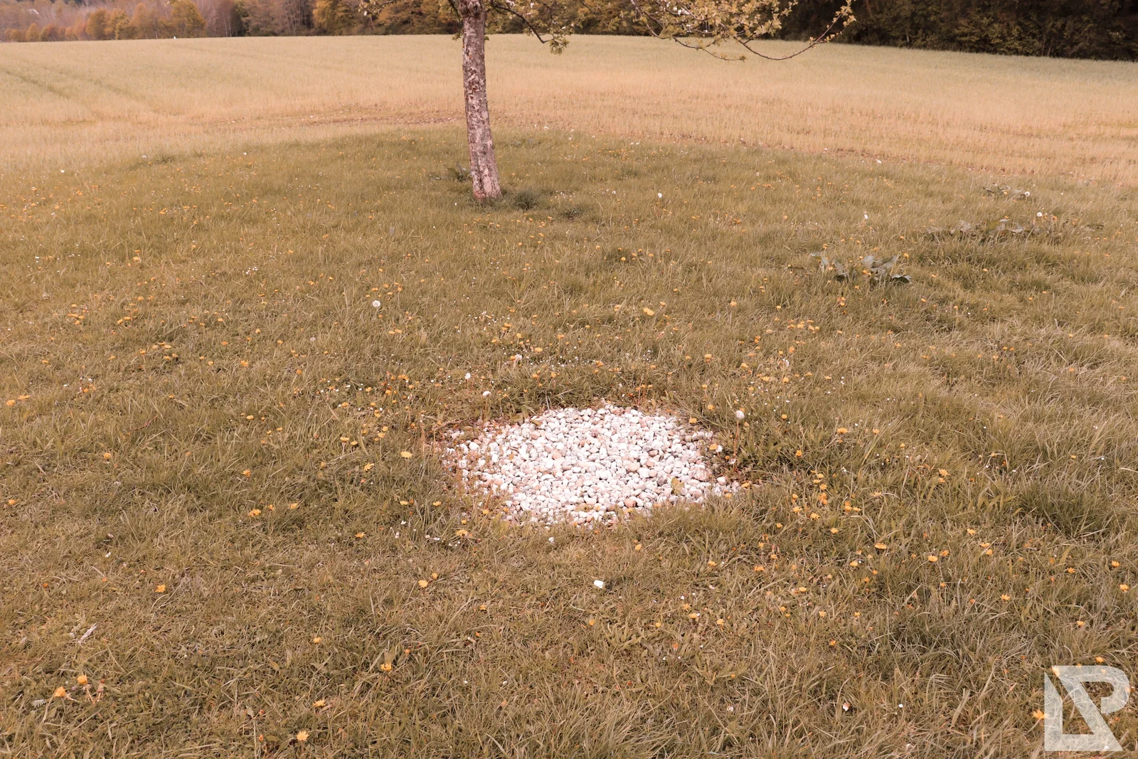 Villa Rustica Mai 2019 – Foto 25