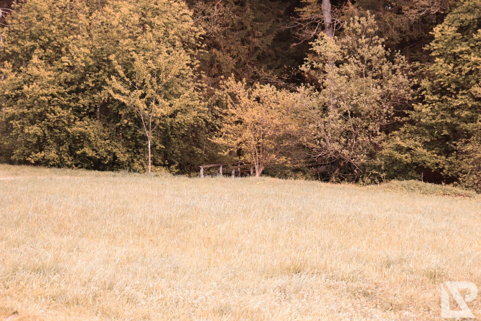 Villa Rustica Mai 2019 – Foto 27